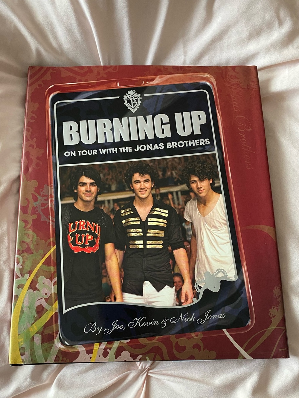 Burning Up On Tour With The Jonas Brothers Hardcover Book